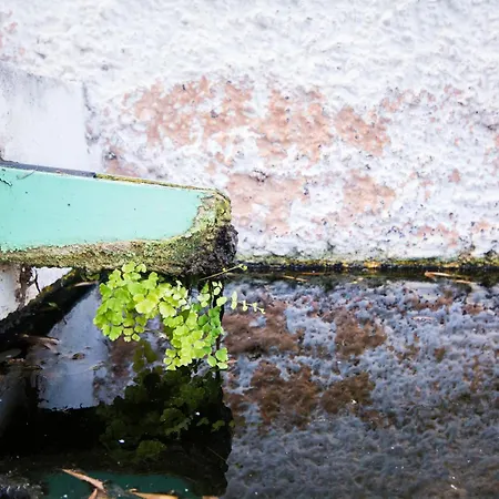 Casa Pausada Canas Y Barro Holiday home San Juan de la Rambla