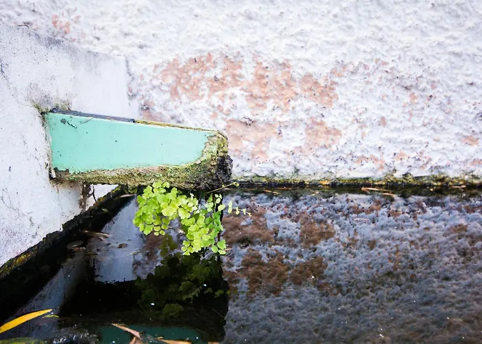Casa Pausada Canas Y Barro Semesterbostad San Juan de la Rambla